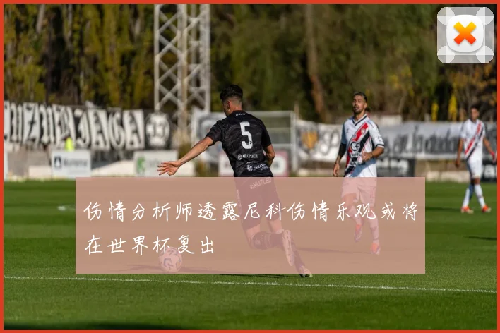 伤情分析师透露尼科伤情乐观或将在世界杯复出