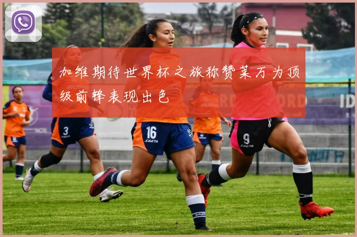 加维期待世界杯之旅称赞莱万为顶级前锋表现出色